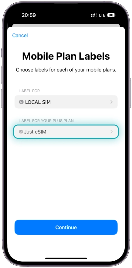 Select your new eSIM and rename it. Then tap <b>Continue</b>